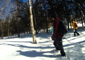 雪の森お散歩ツアー